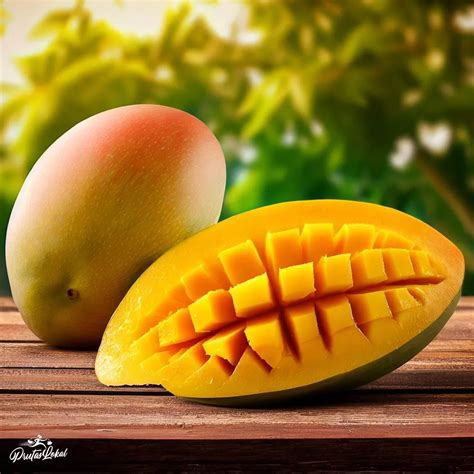 sungkit ng mangga in english|Hinog Meaning .